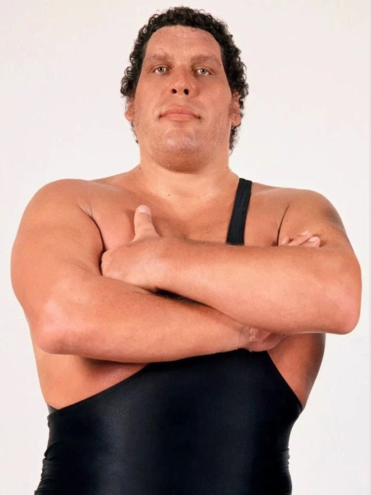 Andre The Giant 8.5 x 11 Color Photograph Art Print Photo Picture Collectibles:Photographic Images:Photographs Style Your Walls